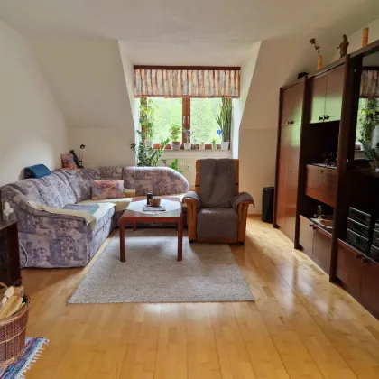 Gepflegte 3-Zimmer Wohnung mit nord-, süd-, westseitiger Ausrichtung - Bild 2