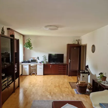 Gepflegte 3-Zimmer Wohnung mit nord-, süd-, westseitiger Ausrichtung - Bild 3