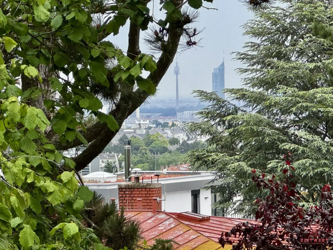 GROSSZÜGIGE, ABSOLUT RUHIG GELEGENE TERASSENWOHNUNG MIT WIEN- UND WEITBLICK - Bild 1