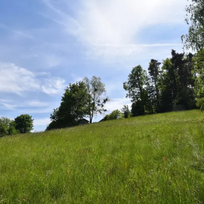 TRAUMHAFTER BAUGRUND Graz-St. Veit in absoluter Ruhelage! In einer Sackgasse gelegen und von der grünen Natur umgeben - SENSATIONELLER AUSBLICK! Jetzt anfragen und Details anfordern! - Bild 3
