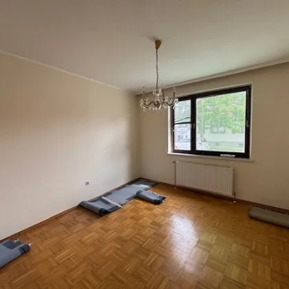 Winden am See - Einfamilienhaus mit Nebengebäuden am Fuße des Leithageb. - Bild 3