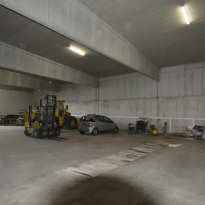 Neuwertiges Gewerbeobjekt-Bürohaus mit Lager,in Sollenau: 16.477 m², 40 Garagen und große Abstellfläche, top Ausstattung! - Bild 2