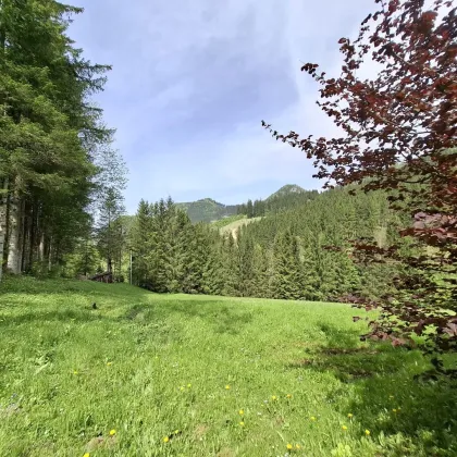 Selbstversorger aufgepasst - Liegenschaft mit landwirtschaftlicher Nutzung und Waldanteil - Bild 2