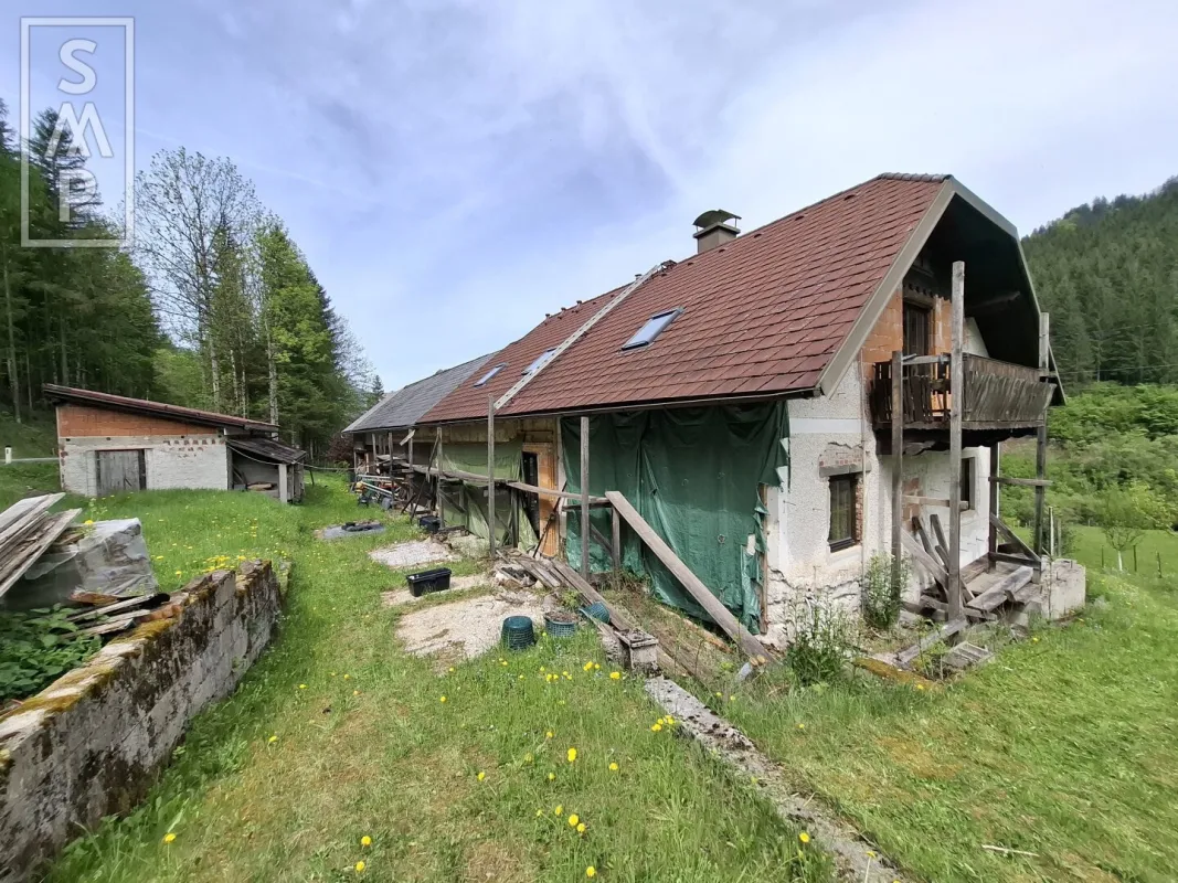 Selbstversorger aufgepasst - Liegenschaft mit landwirtschaftlicher Nutzung und Waldanteil - Bild 1