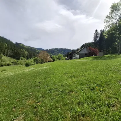 Selbstversorger aufgepasst - Liegenschaft mit landwirtschaftlicher Nutzung und Waldanteil - Bild 3