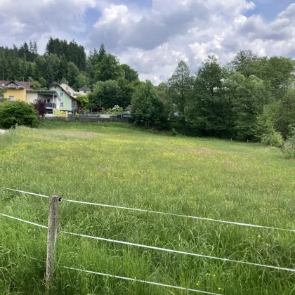 BAULAND DORFGEBIET! TRAUMHAFTES BAUGRUNDSTÜCK IN ST. GEORGEN AM LÄNGSEE - Bild 2