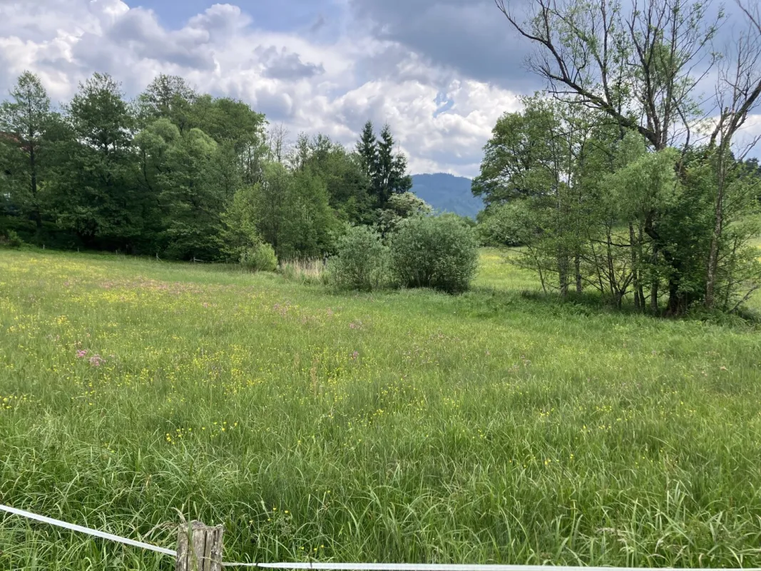 BAULAND DORFGEBIET! TRAUMHAFTES BAUGRUNDSTÜCK IN ST. GEORGEN AM LÄNGSEE - Bild 1