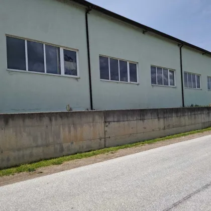 HALLEN FÜR GEWERBEBETRIEBE VON 280 BIS 680 m² IN EBENTHAL ZU MIETEN! - Bild 3