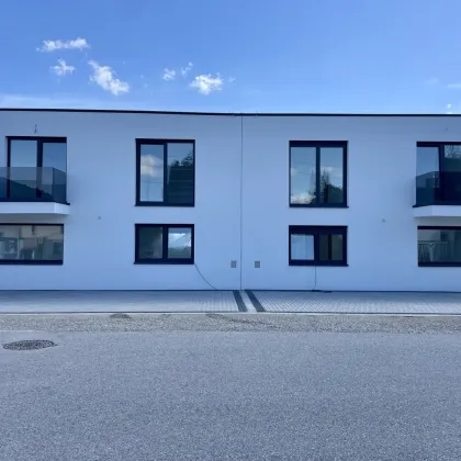 Neubau Doppelhaus in Ebenfurth TOP 2 - Bild 3