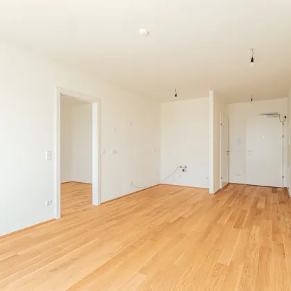 Sie werden es lieben – durchdachte Grundrisse mit Freiflächen im Grünen – Niedrig-Energie-Standard - Bild 3