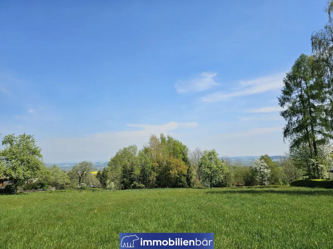 "Häuslbauer" aufgepasst - Traumgründe im Zentrum mit Weitblick - Bild 1