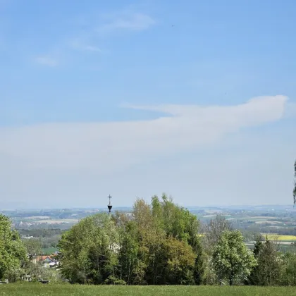 "Häuslbauer" aufgepasst - Traumgründe im Zentrum mit Weitblick - Bild 3