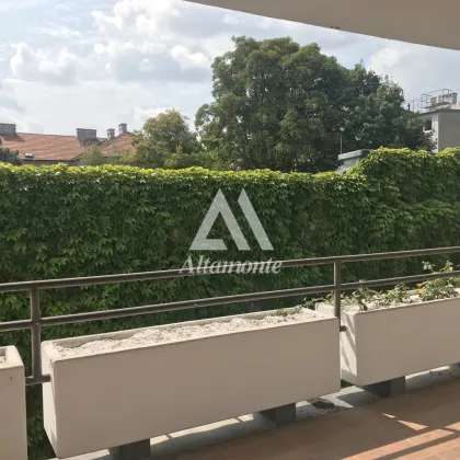Grünblick zum Park, Grünblick im Innenhof - Bild 3