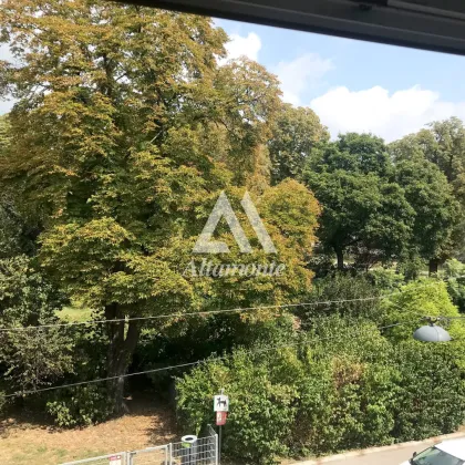 Grünblick zum Park, Grünblick im Innenhof - Bild 2