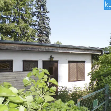Sommer, Sonne, See – Ihr exklusives Refugium auf Pachtgrund - Bild 2