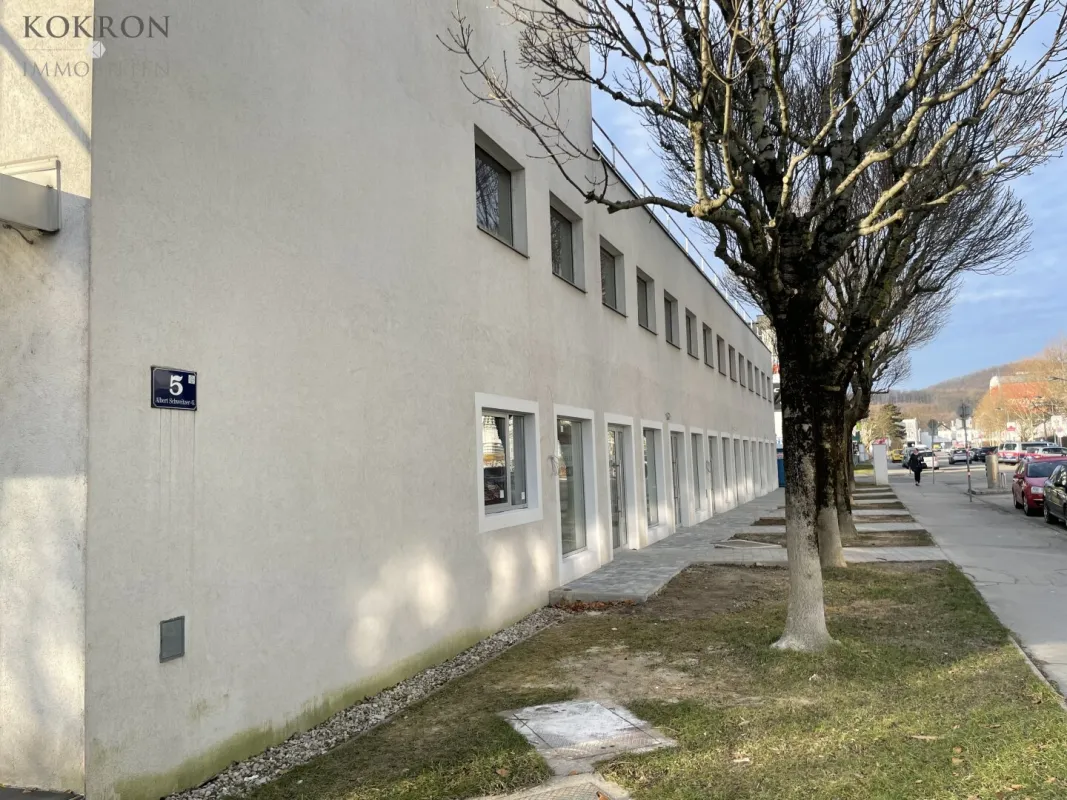 Geschäftsfläche gegenüber vom Auhof Center (vis-à-vis McDonalds) - Bild 1