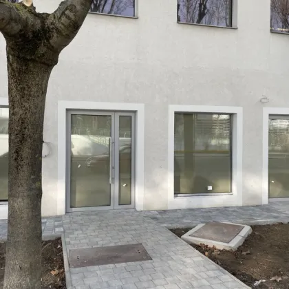 Geschäftsfläche gegenüber vom Auhof Center (vis-à-vis McDonalds) - Bild 2