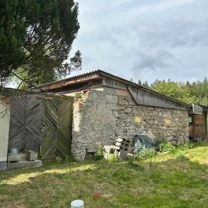 Landhaus Nähe Litschau und Heidenreichstein - Bild 3