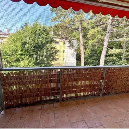 Erstbezug! Großzügige sanierte Eigentumswohnung mit Loggia! - Bild 2