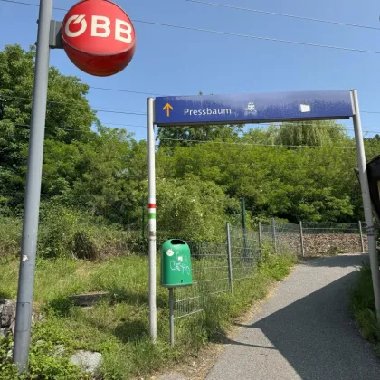 AKTION! KAUFREIS REDUZIERT! TOP-ZENTRUMSLAGE. EXQUISITES 5 ZIMMER-ZIEGELHAUS! 2 BÄDER-3 TOILETTEN. EDLE AUSSENANLAGEN. PROVISIONSFREI für den Käufer. - Bild 2