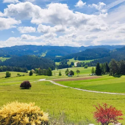 Einfamilienhaus in ruhiger Lage - Bilderbuchaussicht! - Bild 2