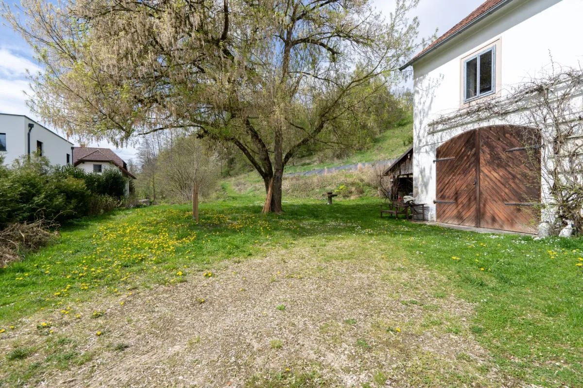 Historische Mühle in Schlossnähe – vielseitige Nutzung möglich - Bild 1