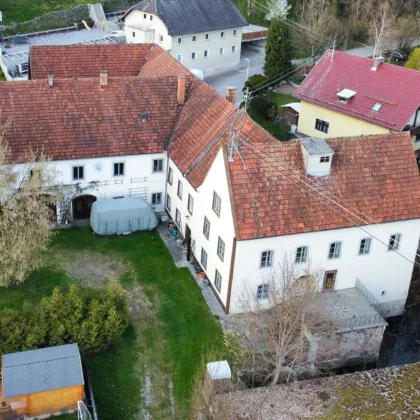 Historische Mühle in Schlossnähe – vielseitige Nutzung möglich - Bild 2