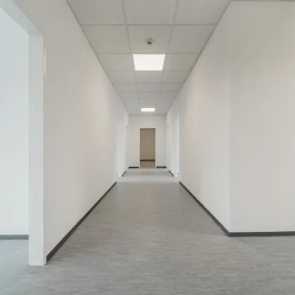 Attraktives 6-Zimmer Büro/Praxis, Nähe Enkplatz - Bild 3