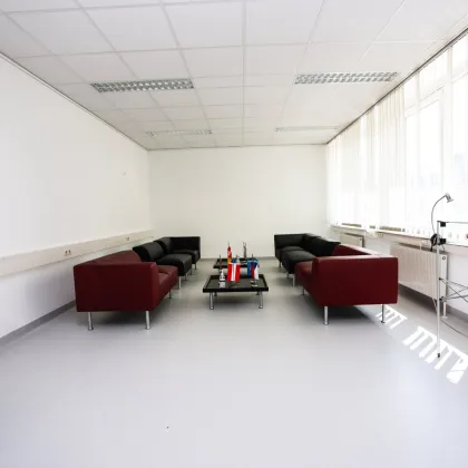 +Flexibles modernes Büro ca. 297 m² ,15-20 Räume insgesamt möglich,  Teeküche, Toiletten, optionale PKW Stellplätze, optionaler Keller+ - Bild 3