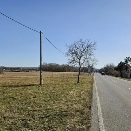 Weigelsdorf: unbebautes Grundstück ca. 7.600 m² (nicht teilbar) direkt an der B16 zu kaufen - Bild 3