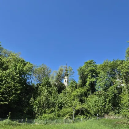 Erstbezug: Traumhafte Maisonette-Wohnung mit überdachtem Balkon und Doppelcarport - Bild 3