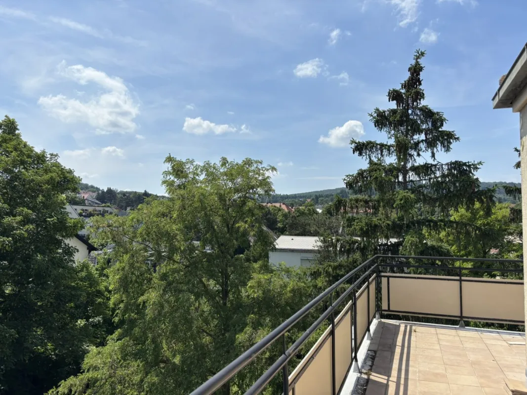 Dachterrassenhit (51m² Wohnung, 39m² Terrasse) mitten im Grünen - Gobergasse - Bild 1