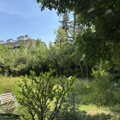 Dachterrassenhit (51m² Wohnung, 39m² Terrasse) mitten im Grünen - Gobergasse - Bild 2