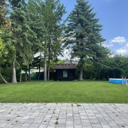 Großräumiges Einfamilienhaus in Traunfeld – 160 m² für Ihr Familienglück! 479.000 € - Bild 3