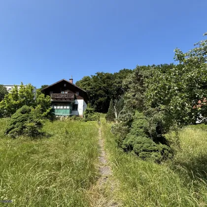 SCHULTZ IMMOBILIEN - Traumhafte(s) Baugrundstück(e) in Mauerbach – Gesamtfläche ca. 1.771 m² bestehend aus 2 nebeneinander liegenden Grundstücken - ab € 324.500,- - Bild 3