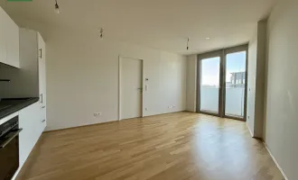 Exklusiver Neubau mit atemberaubendem Stadtblick! BELVIEW APARTMENTS