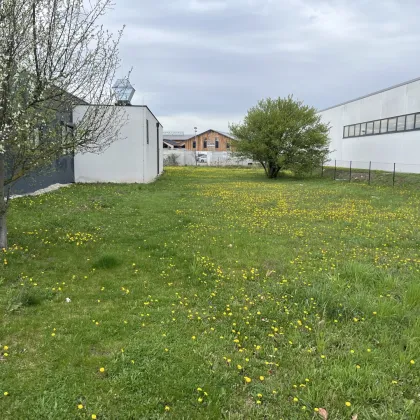 Gewerbe-/Industrieobjekt - Bild 3