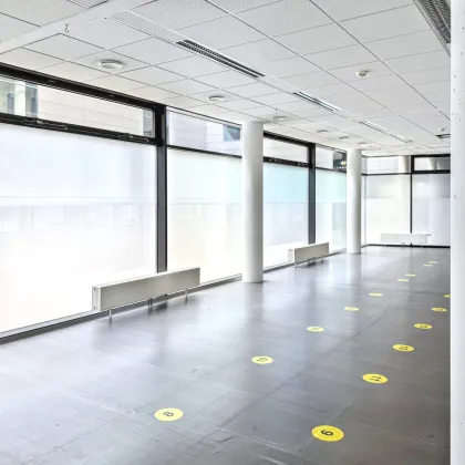 500m2 moderne Shopfläche | 4m Raumhöhe möglich - Bild 3