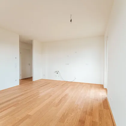 Alles was man sich wünscht – kostengünstige Heizung/“Kühlung“ über Erdwärme, PV-Anlage, weitläufige Grünflächen - Bild 2