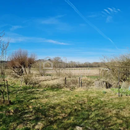 Traumhaftes Baugrundstück in Gunskirchen - 1647m² für Ihr Eigenheim - 2 Doppelhäuser möglich !!! - Bild 3