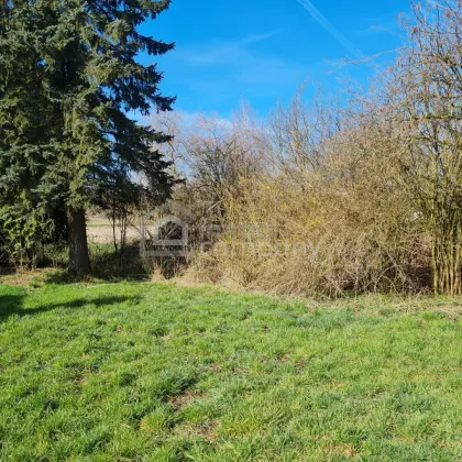 Traumhaftes Baugrundstück in Gunskirchen - 1647m² für Ihr Eigenheim - 2 Doppelhäuser möglich !!! - Bild 2