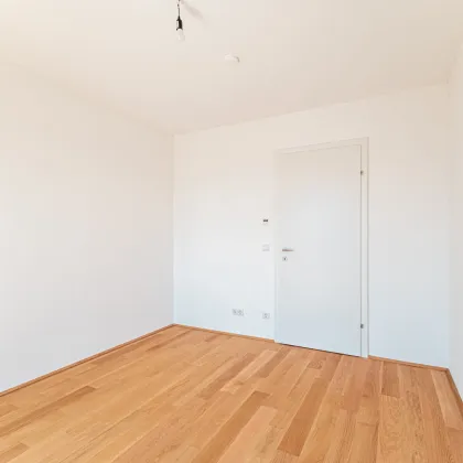 „Hirschfeld – Naturnah wohnen“ – Niedrig-Energie-Standard-Neubau in begehrter Grün-Ruhelage - Bild 3