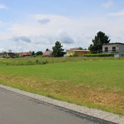 Attraktives Gewerbegrundstück in TOP-Lage (Magna Steyr) - Bild 3