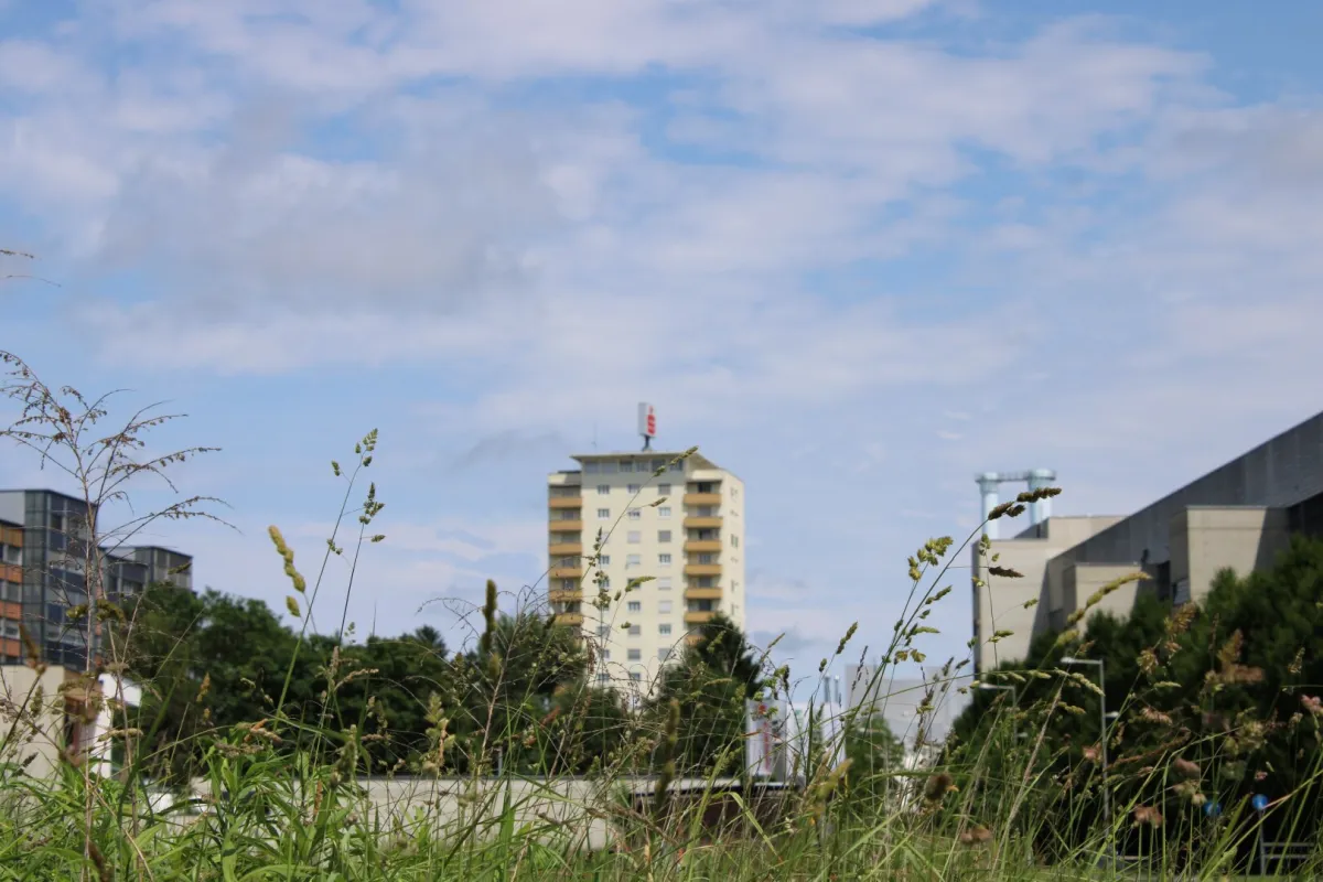 Attraktives Gewerbegrundstück in TOP-Lage (Magna Steyr) - Bild 1