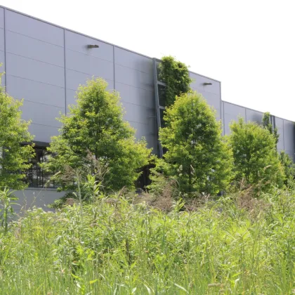 Attraktives Gewerbegrundstück in TOP-Lage (Magna Steyr) - Bild 2