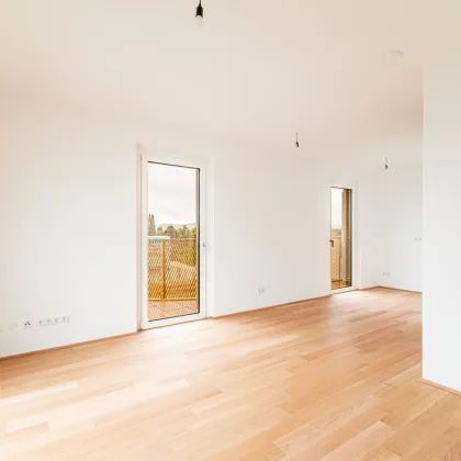 „Hirschfeld – Naturnah wohnen“ – Niedrig-Energie-Standard-Neubau in begehrter Grün-Ruhelage - Bild 2