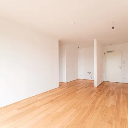 Alles was man sich wünscht – kostengünstige Heizung/“Kühlung“ über Erdwärme, PV-Anlage, weitläufige Grünflächen - Bild 2