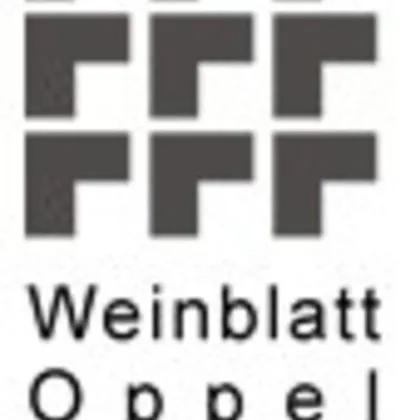 Anlage! Zinshaus in sehr guter Lage zum entwickeln - Bild 2