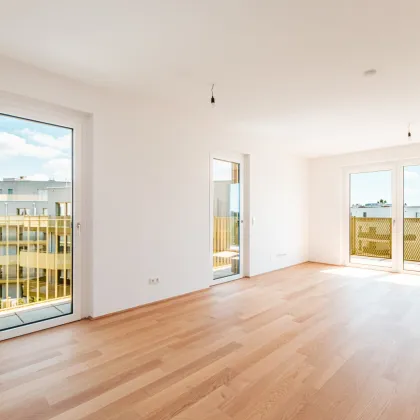 „Hirschfeld – Naturnah wohnen“ – Niedrig-Energie-Standard-Neubau in begehrter Grün-Ruhelage - Bild 3