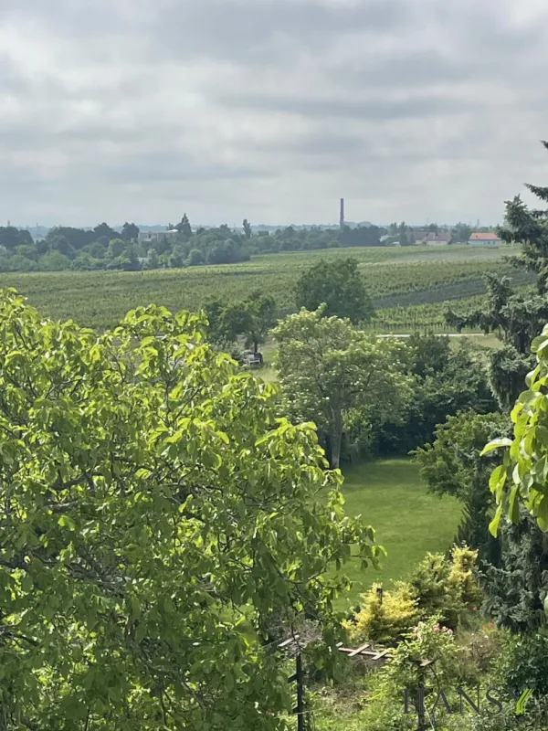 Traumhaftes Baugrundstück in Sooß – 2059m² für Ihr Eigenheim um nur 1.150.000 €! - Bild 1